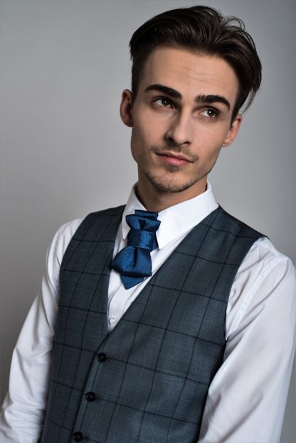 Elegant and stylish bow tie
