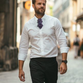 Men's stylish and elegant bow tie