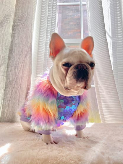 Sequined Pet Cat and Dog Sweater