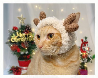 Reindeer Cat Hat - Image 5