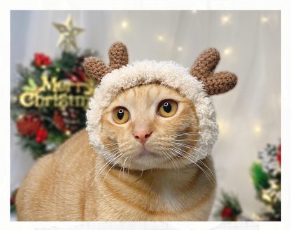 Reindeer Cat Hat