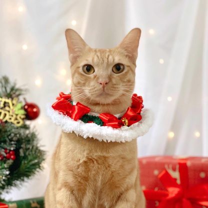 Cozy Christmas pet collar with red bow tie - Image 6