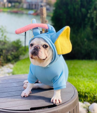 Elephant Ears Hoodie Pet