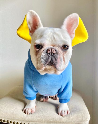 Elephant Ears Hoodie Pet - Image 5