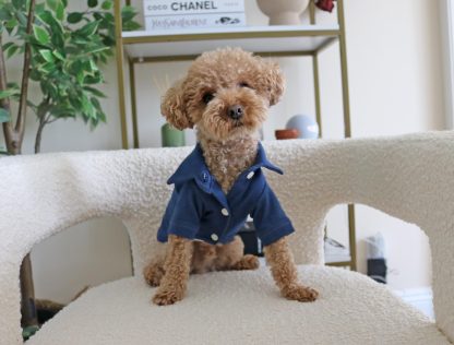 Pet Navy Denim Button-Down Shirt - Image 5