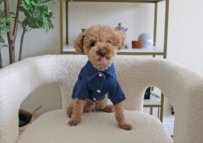Pet Navy Denim Button-Down Shirt