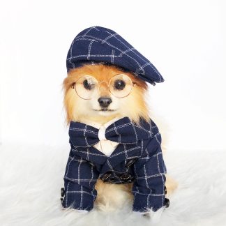 Pet British style suit