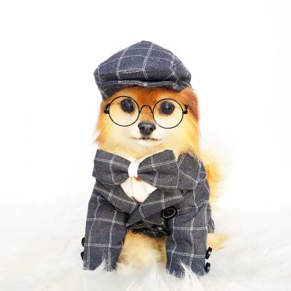 Pet British style suit - Image 6