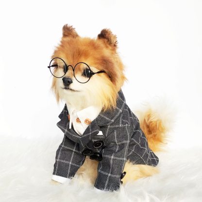 Pet British style suit - Image 4