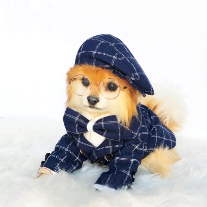 Pet British style suit - Image 3