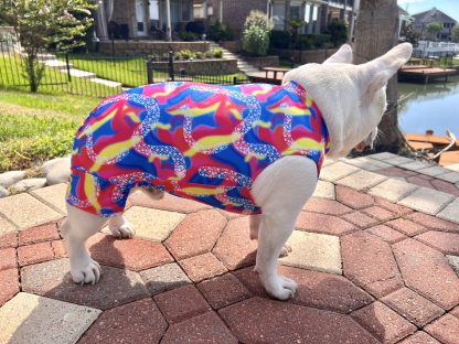 Pet Gymnastics Leotard - Image 6