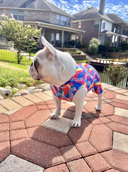Pet Gymnastics Leotard - Image 5