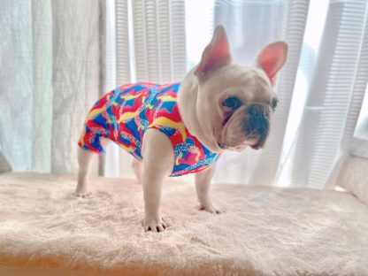 Pet Gymnastics Leotard