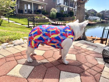 Pet Gymnastics Leotard - Image 3
