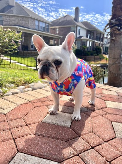 Pet Gymnastics Leotard - Image 2