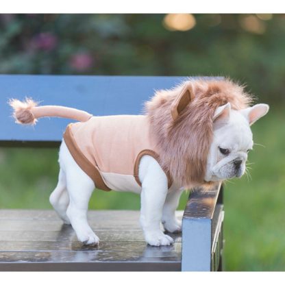 Lion Pet Hoodie