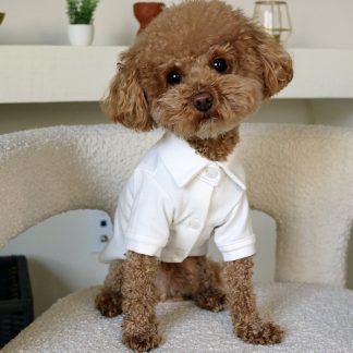 Pet White Shirt