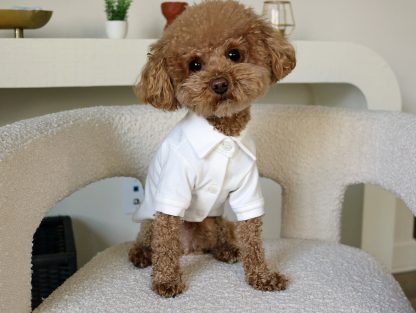 Pet White Shirt - Image 3