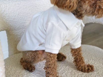 Pet White Shirt - Image 2