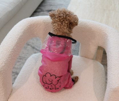 Cute Cloud Dog Raincoat - Image 5