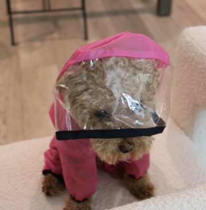 Cute Cloud Dog Raincoat - Image 2