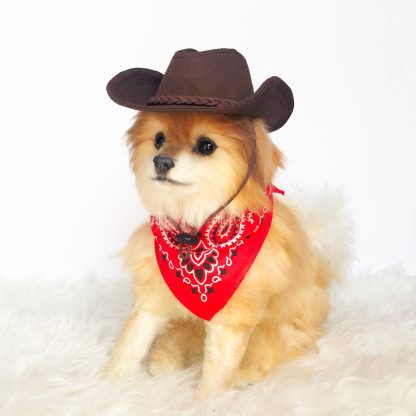 Pet cowboy hat - Image 6