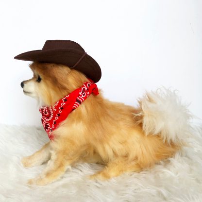 Pet cowboy hat - Image 5