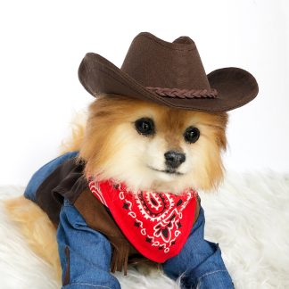 Pet cowboy hat