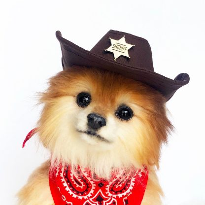Pet cowboy hat - Image 2