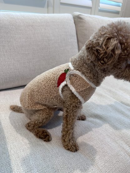 Cute Plush Pet Vest - Image 5