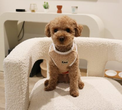 Cute Plush Pet Vest