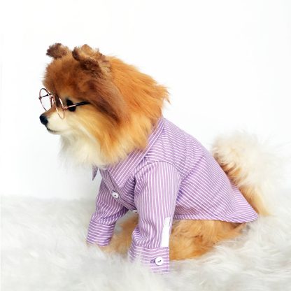 Pet Striped Shirt - Image 3