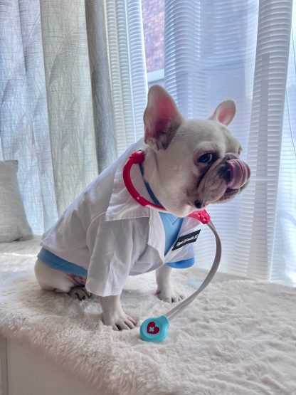 Doctor Pet Dog Cat Costume - Image 6