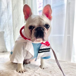 Doctor Pet Dog Cat Costume