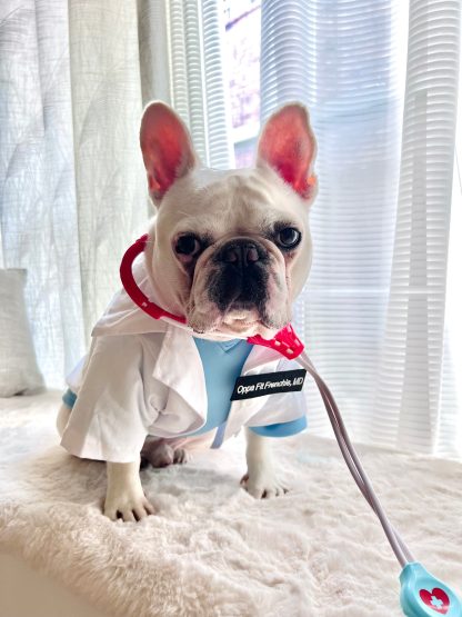 Doctor Pet Dog Cat Costume