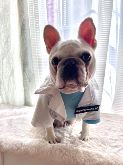Doctor Pet Dog Cat Costume - Image 4