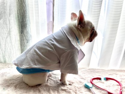 Doctor Pet Dog Cat Costume - Image 3
