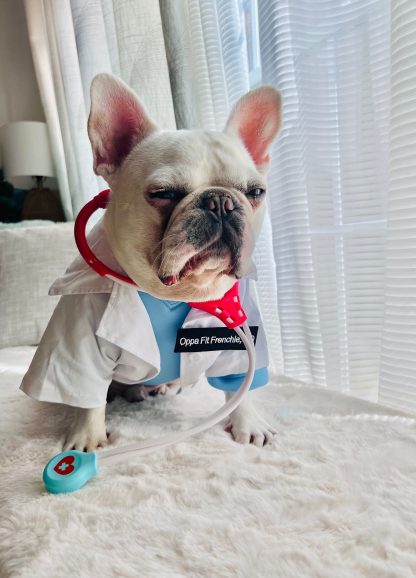 Doctor Pet Dog Cat Costume - Image 2