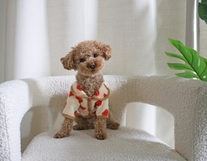 Pet Strawberry Printed Clothes