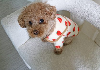 Pet Strawberry Printed Clothes - Image 3