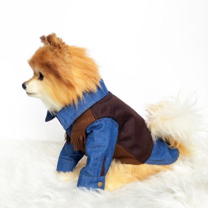 Vintage Pet Suede Fringe Vest - Image 4