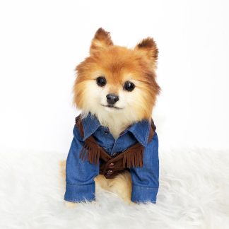 Vintage Pet Suede Fringe Vest