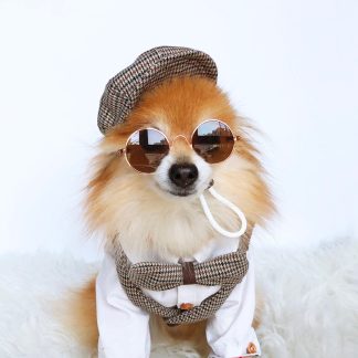 Retro British style pet set