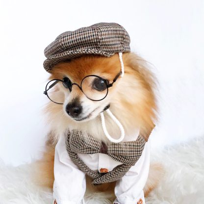 Retro British style pet set - Image 2