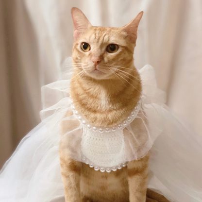 Cat Wedding Crown Dress