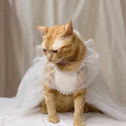 Cat Wedding Crown Dress - Image 2