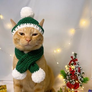 Merry Christmas Pussycat Hat