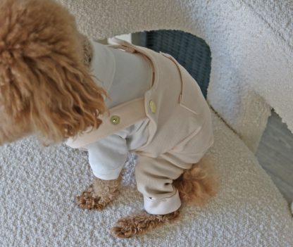 Pet Fashion Overalls - Image 6