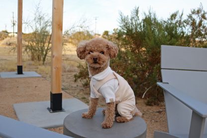 Pet Fashion Overalls