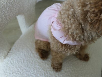 Pet pink cute sling - Image 3